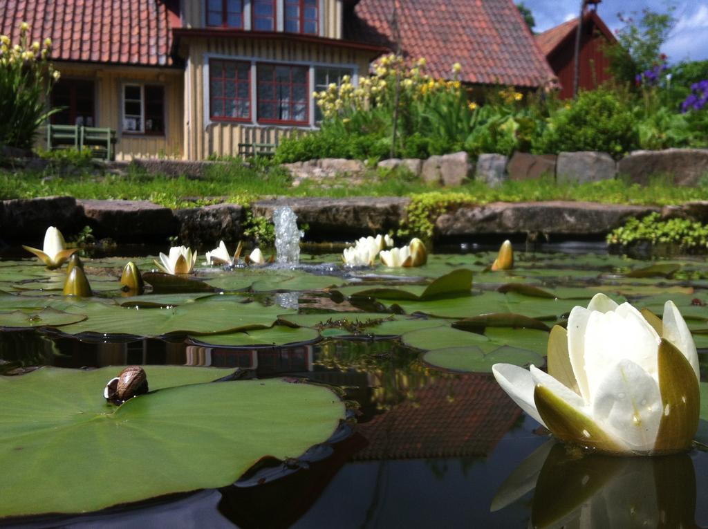Vildrosor & Hoens Hagstad Bagian luar foto