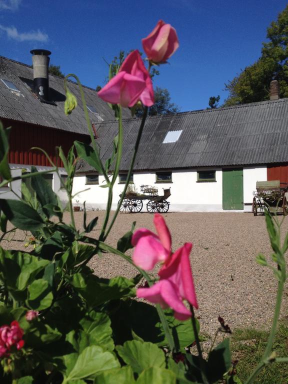 Vildrosor & Hoens Hagstad Bagian luar foto