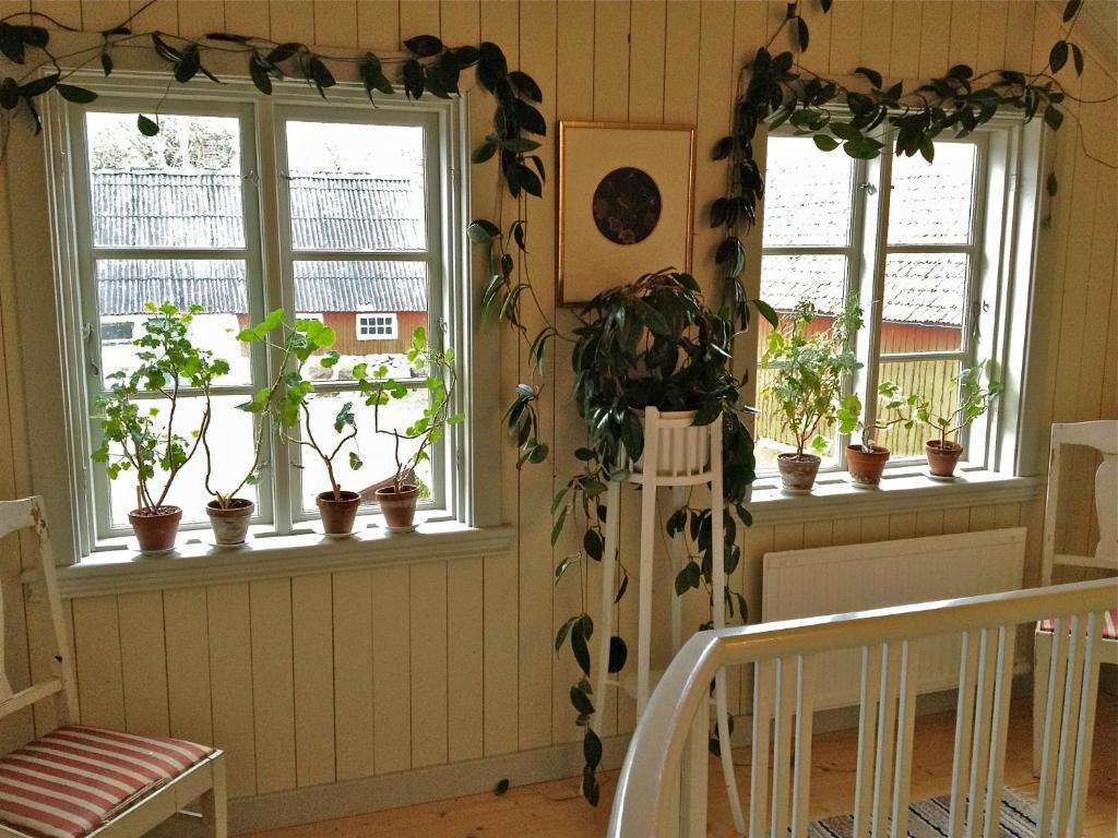 Vildrosor & Hoens Hagstad Bagian luar foto